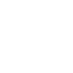 CharlesSchwab